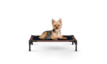 K&H Pet Products Cooling Pet Cot