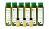 Raw Fountain - Green Juice Cleanse Detox - All Natural Cold Pressed 1 3 5 7 Day