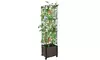 iMounTEK Raised Garden Bed Planter Box with Trellis & Self-Watering System