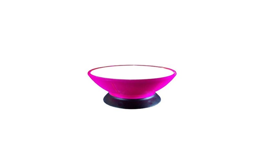 Modapet bowl store