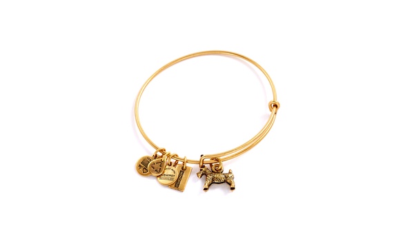 Alex and ani discount monopoly dog bracelet