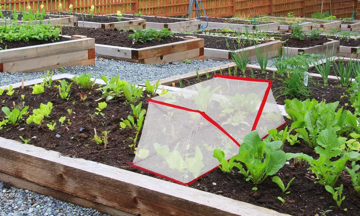 LakeForest Home Gardening & Irrigation Collection