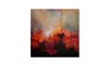Cody Hooper 'Red Earth' Canvas Art