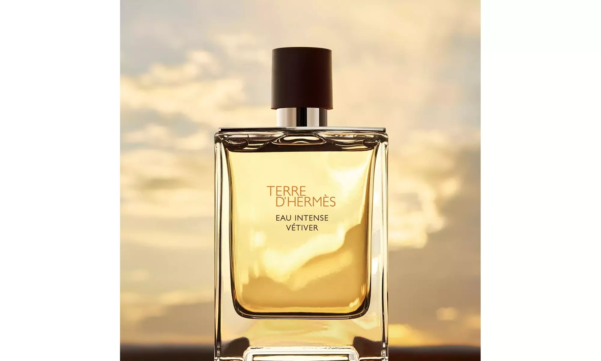 Hermes Terre D'Hermes Eau Intense Vetiver 1.6 OZ 50 ML EDP For Men - Second Medium