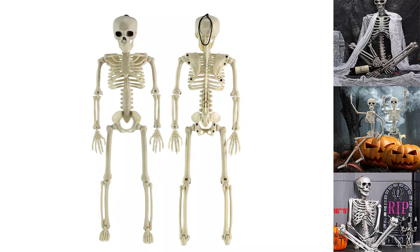 16 inch Large Poseable Human Skeleton Prop Halloween Party Decor - Primary Image