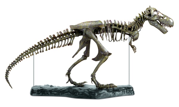 T rex sale skeleton puzzle