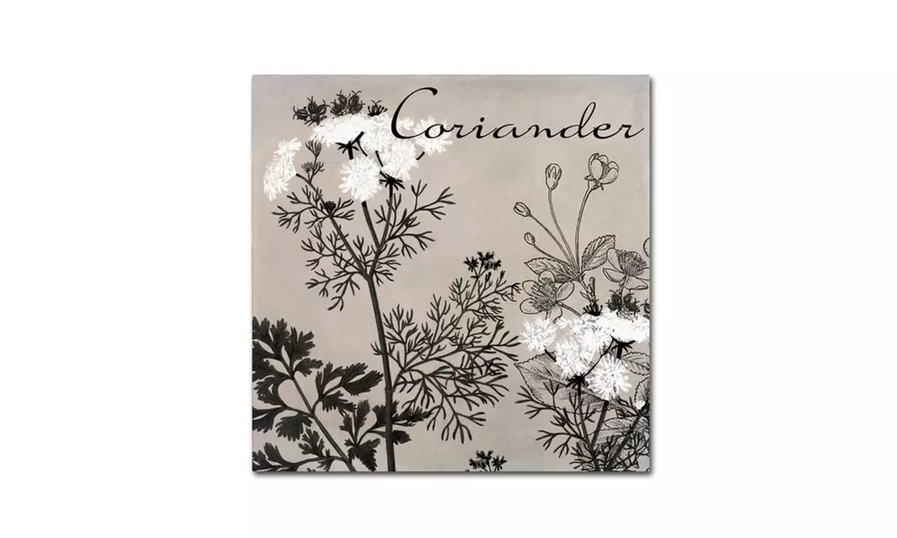 Color Bakery 'Flowering Herbs IV' Canvas Art - Primary Image