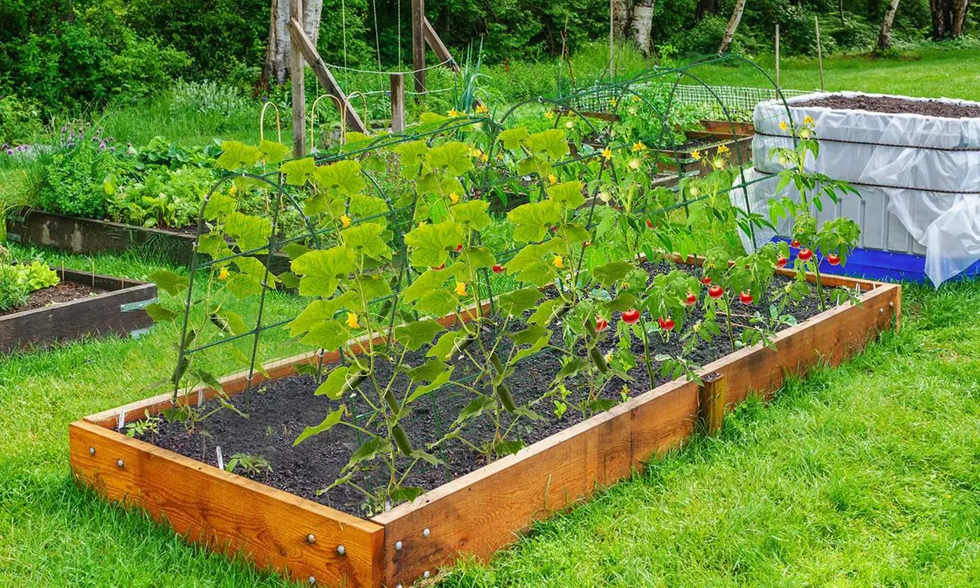 LakeForest Home Gardening & Irrigation Collection