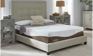 ComforPedic Loft from BeautyRest Special Edition14" Gel Memory Foam Mattress