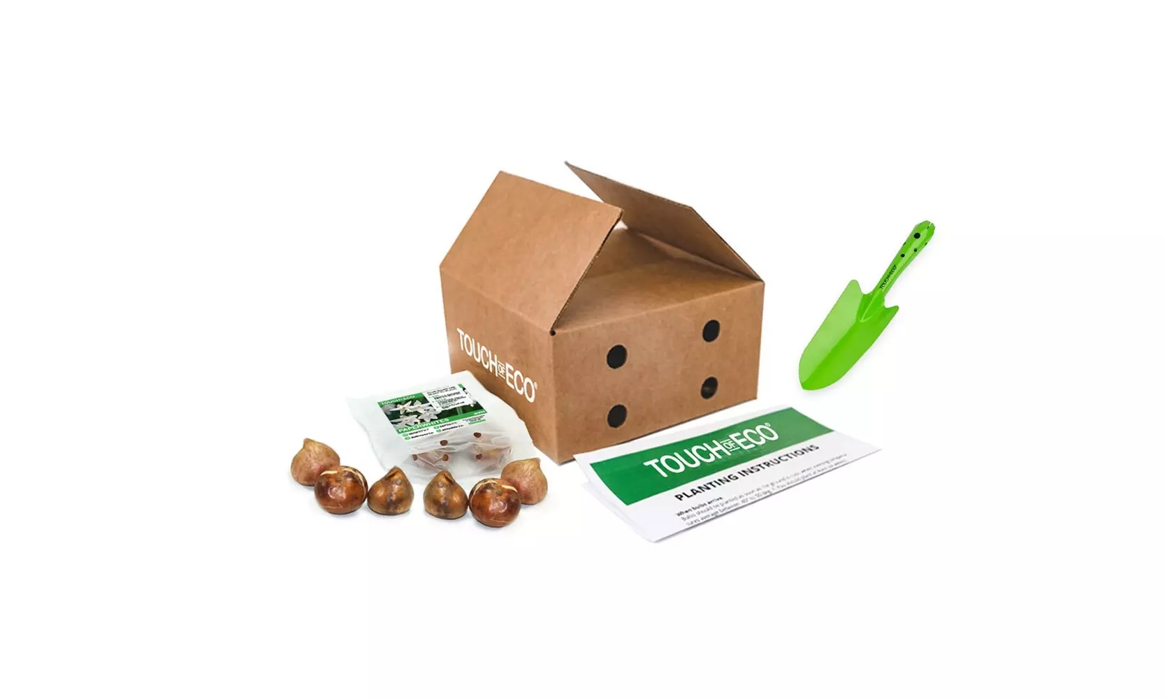 Up to 24 Touch Of ECO Sweetly Fragrant Paperwhite Flower Bulbs