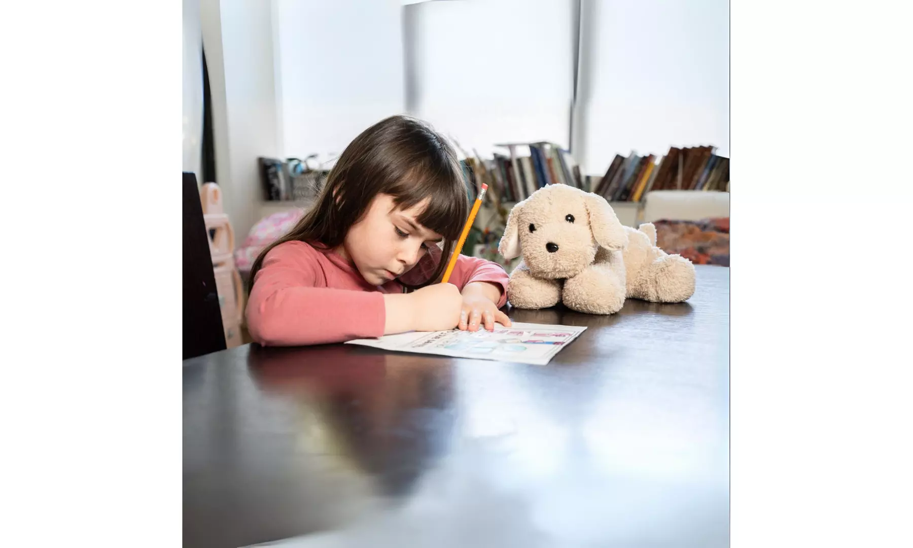 Weighted Plush Animals for Children - for Anxiety Focus or Sensory Input