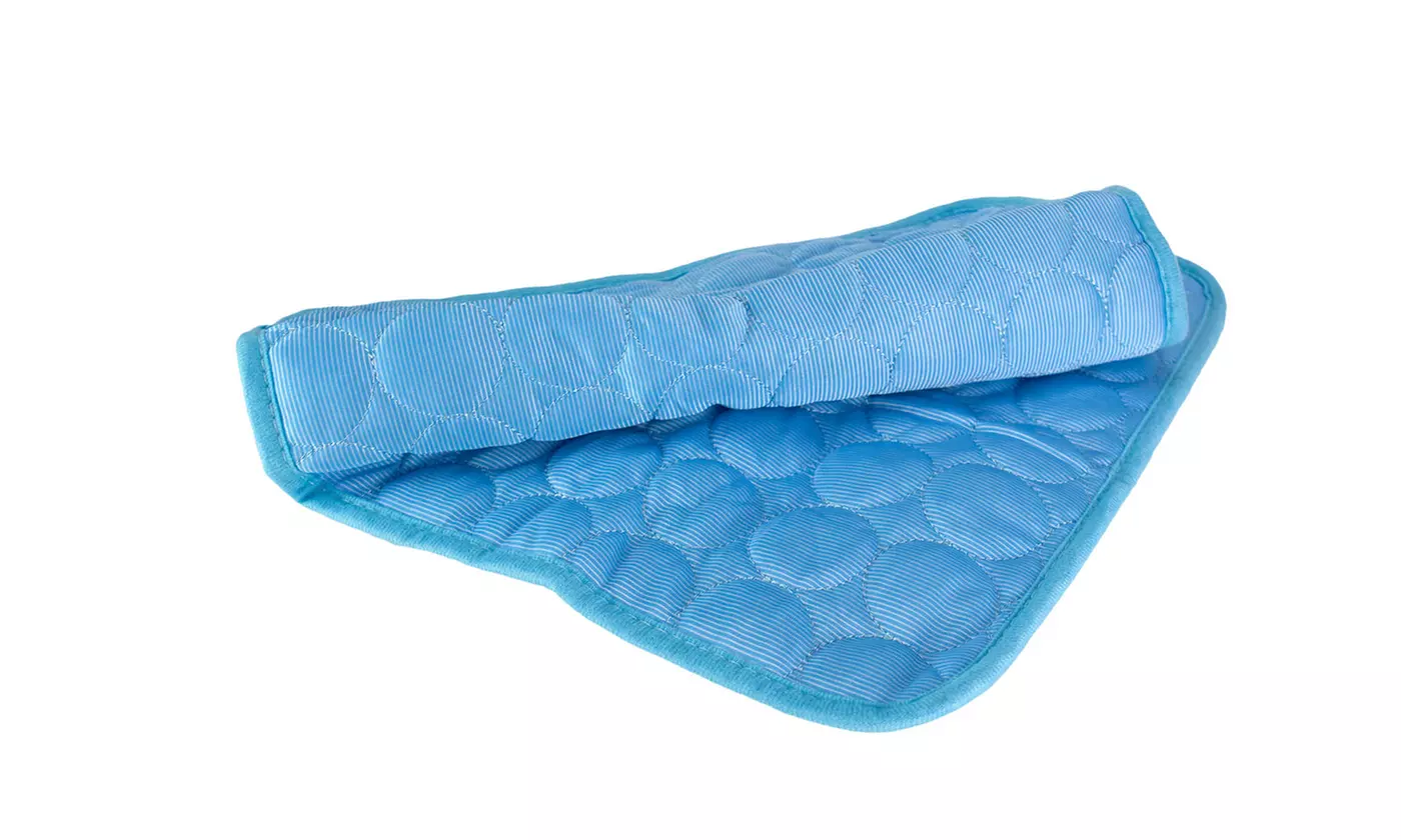 Pet Cooling Mat Cool Pad Comfortable Cushion Bed Blanket for Dog Cat Puppy