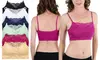Women's Padded Seamless Laced Bralettes (6-Pack)
