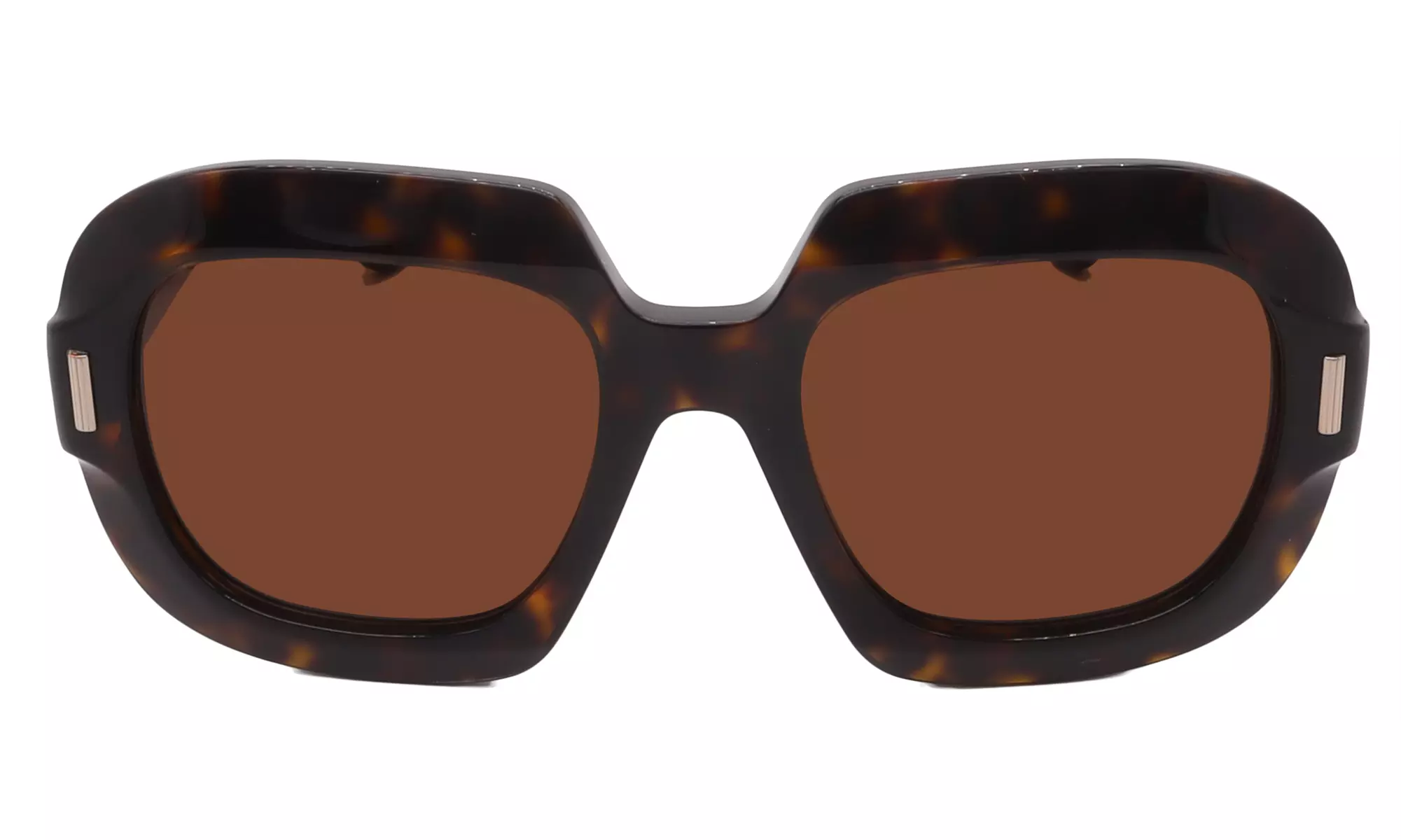 Salvatore Ferragamo Sunglass Collection