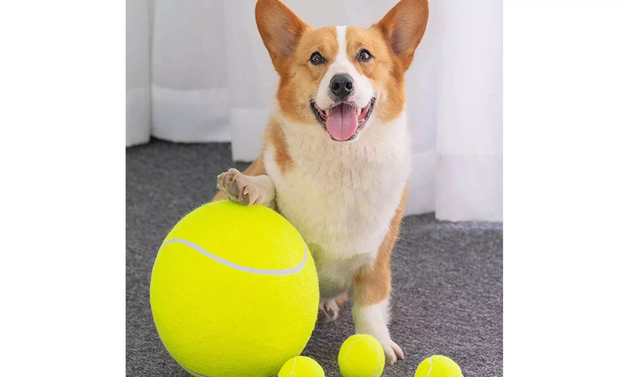 Zummy Pets Giant Jumbo Tennis Ball