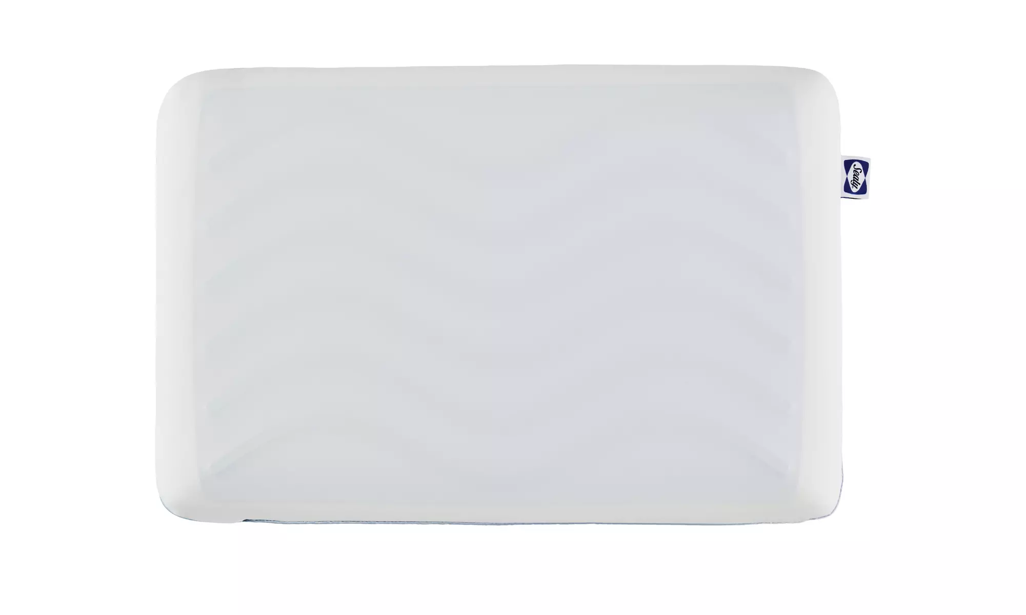 Sealy Dreamlife Memory & Shredded Foam Pillows (Single/Dual)
