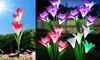 2 Pack Solar Garden Lights with Bigger Lily Flowers Color-Changing Outdoor Decor