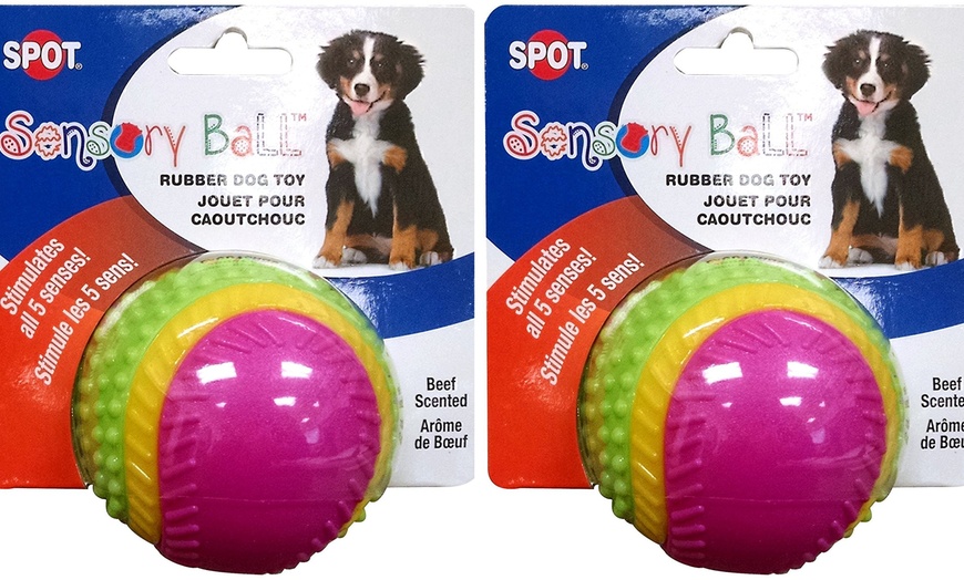 sensory dog toys