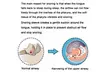 4pcs Anti Snoring Tongue Device Silicone Sleep Effective Stop Snoring Device - Second Medium