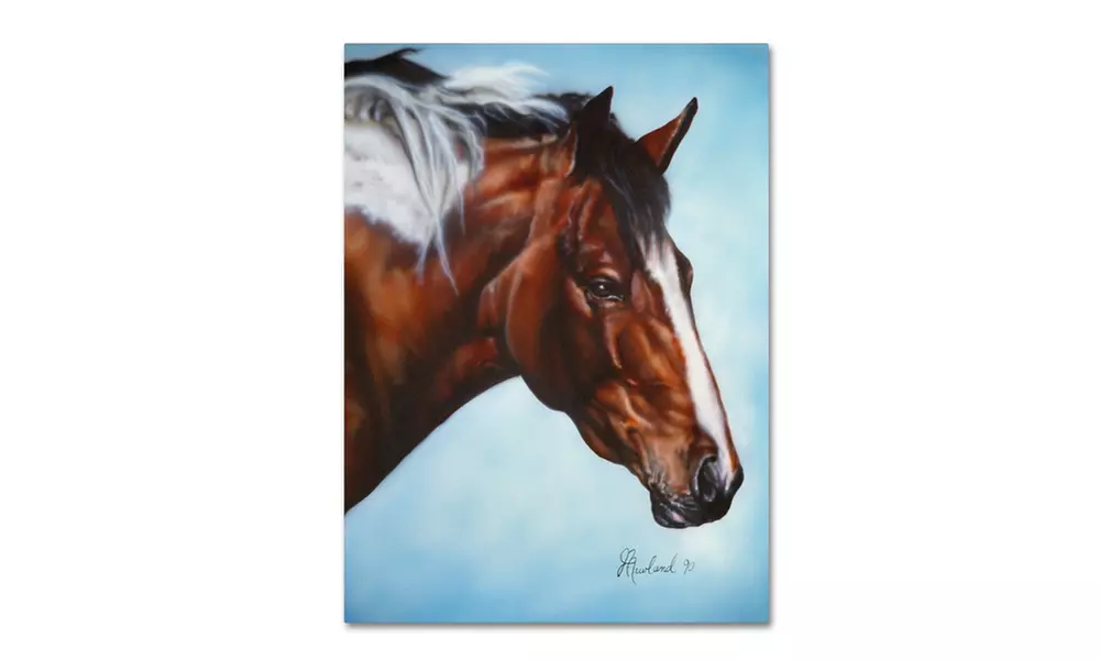 Jenny Newland 'Cherokee' Canvas Art - Second Medium