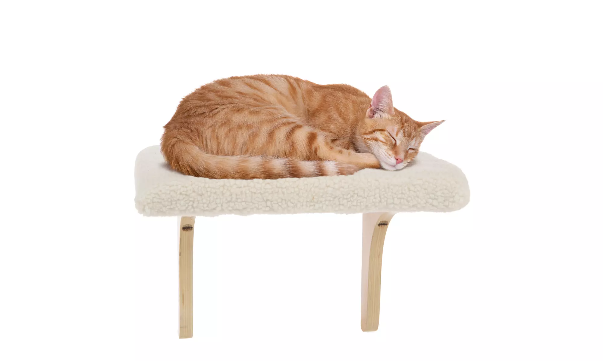 SmartyKat Paw Perch Padded Indoor Cat Perch - Primary Image