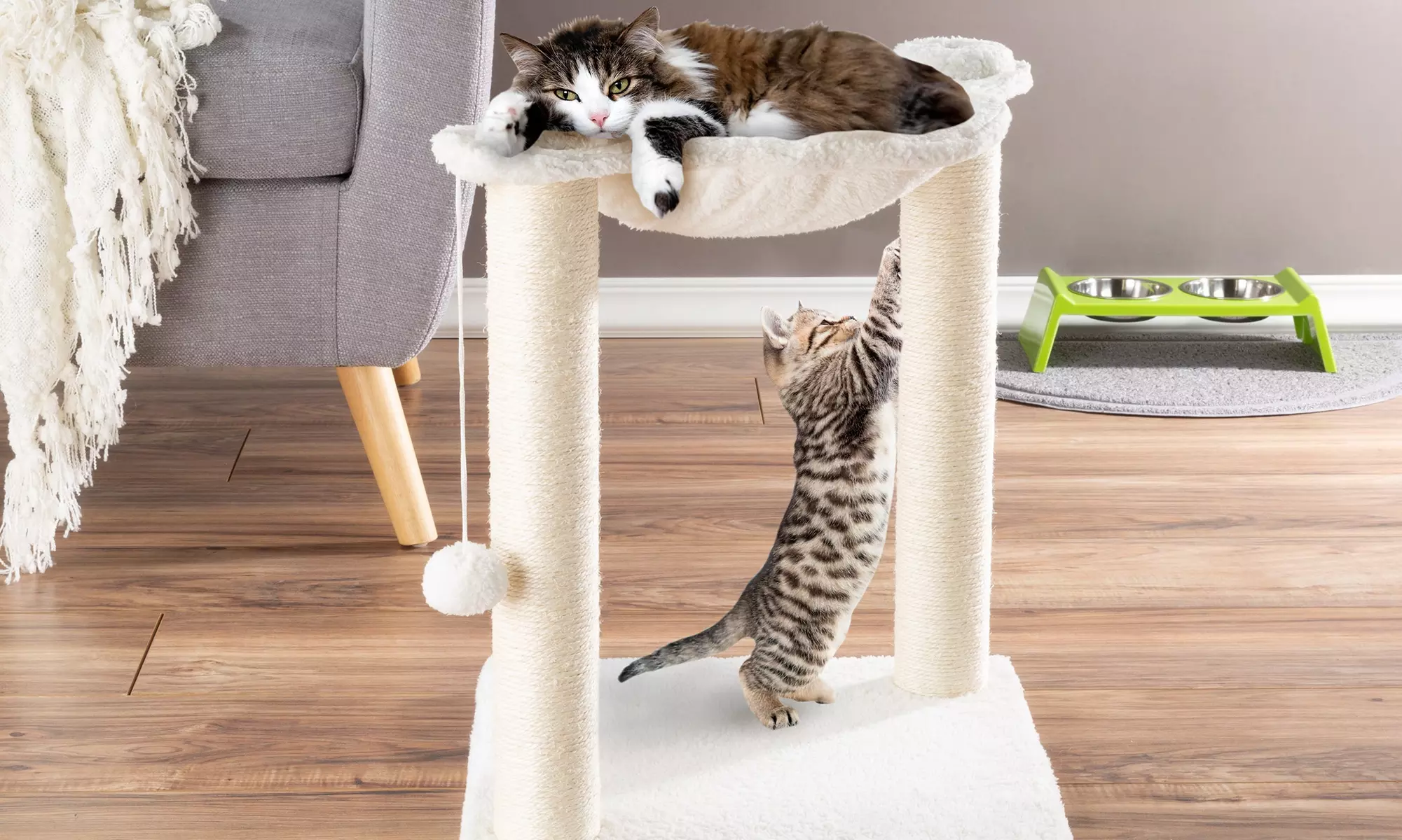 Cat Scratching Post with Hanging Toy by PETMAKER - Primary Image