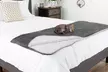 Petmaker Waterproof Pet Blanket- 50"x60" Soft Plush Throw - Second Medium