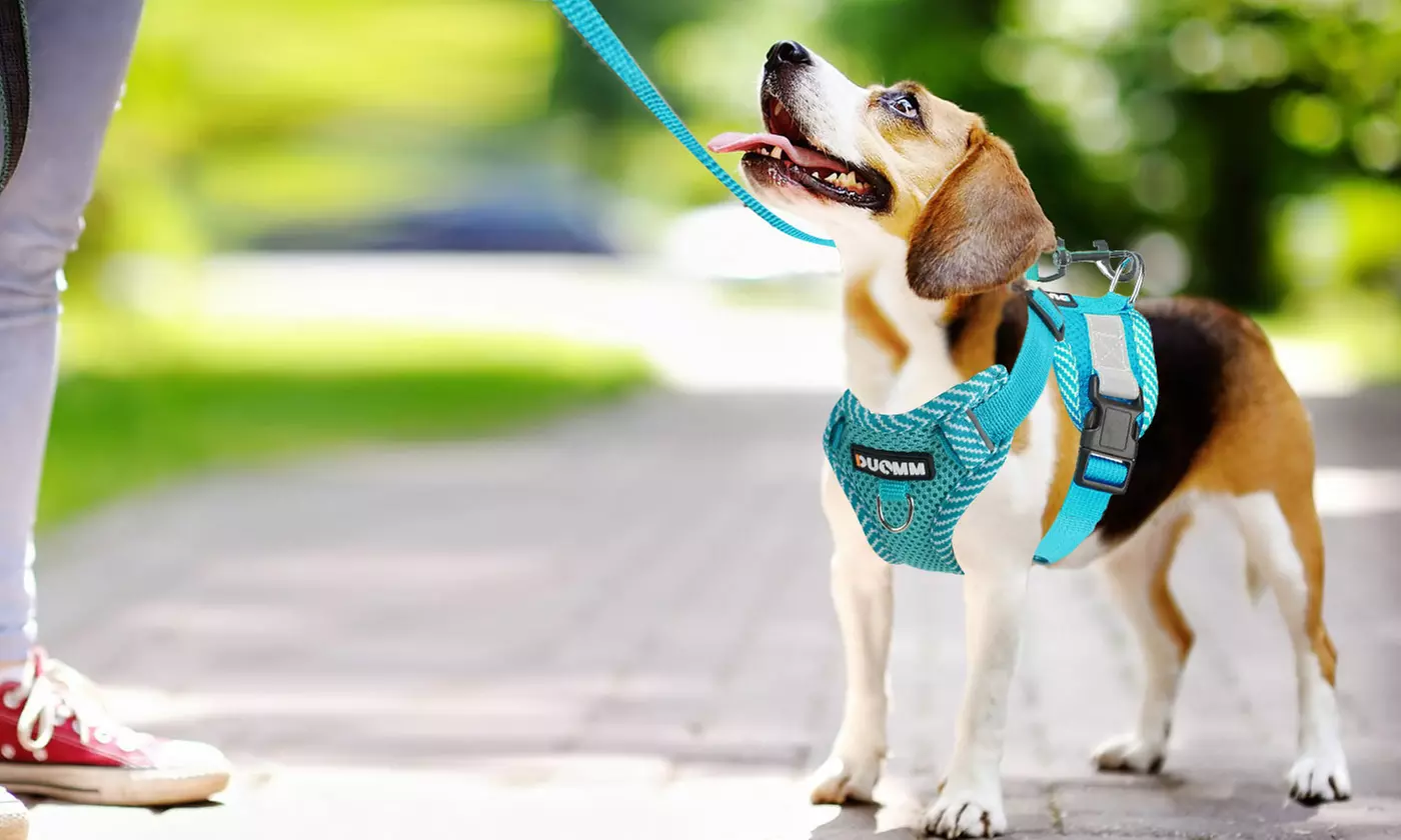 Soft Mesh Dog Harness Leash Set No-Chock Step-in Reflective Vest Harnesses