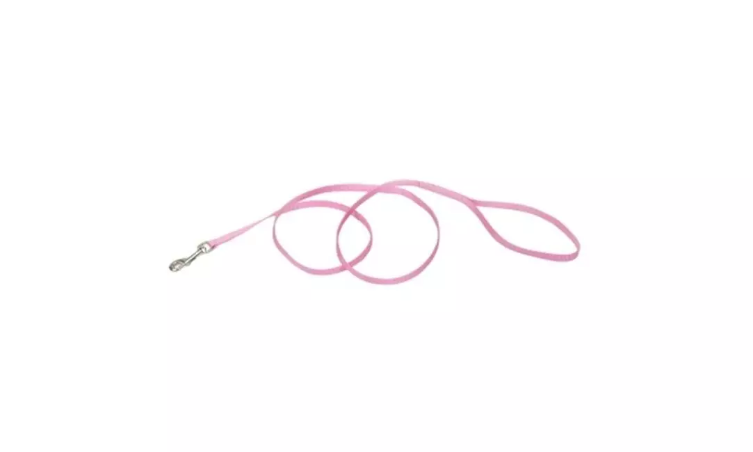 Animal Supply Company CO03063 Nylon Training Lead 0.38 in. x 6 ft. - Bright Pink - Primary Image