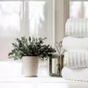 4 Pack Bath - White