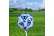 Blue Butterfly Golf Balls - Second Medium