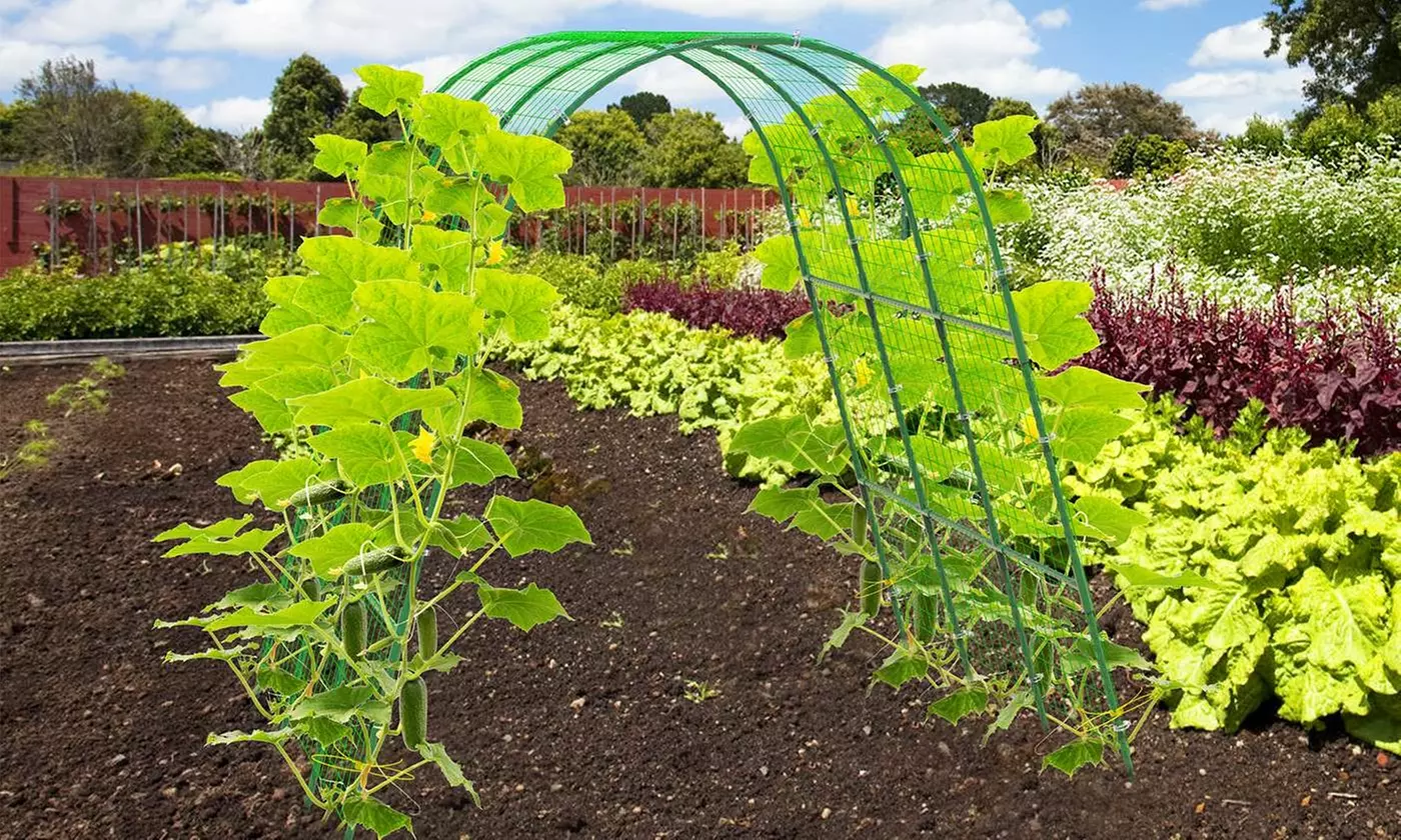 LakeForest Home Gardening & Irrigation Collection