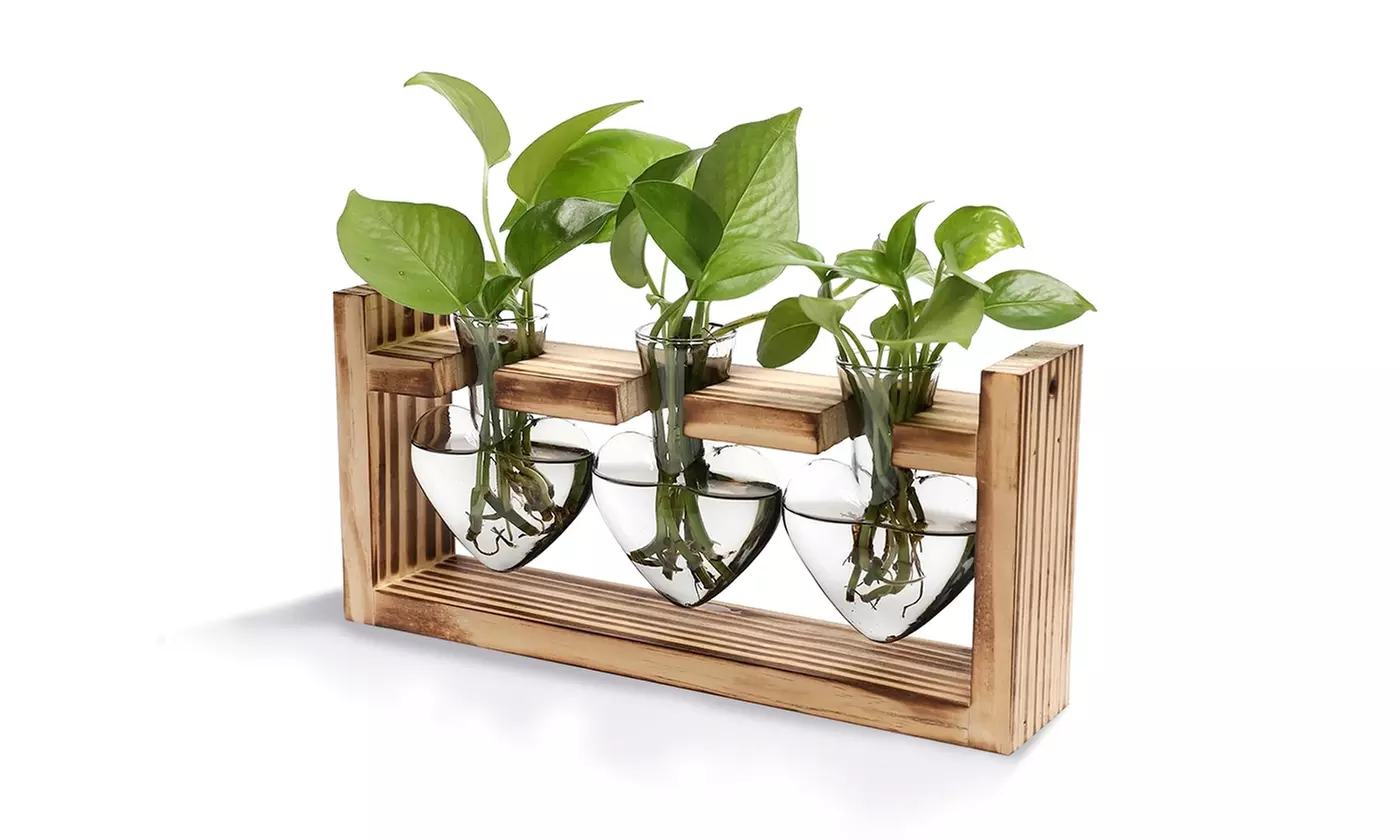 iMounTEK Glass Bulb Terrarium Propagation Station with 3 Vases and Wood Stand