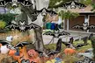 12pcs Hanging Bats for Halloween Decoration Outdoor Large Scary Flying Bat Decor - Second Medium