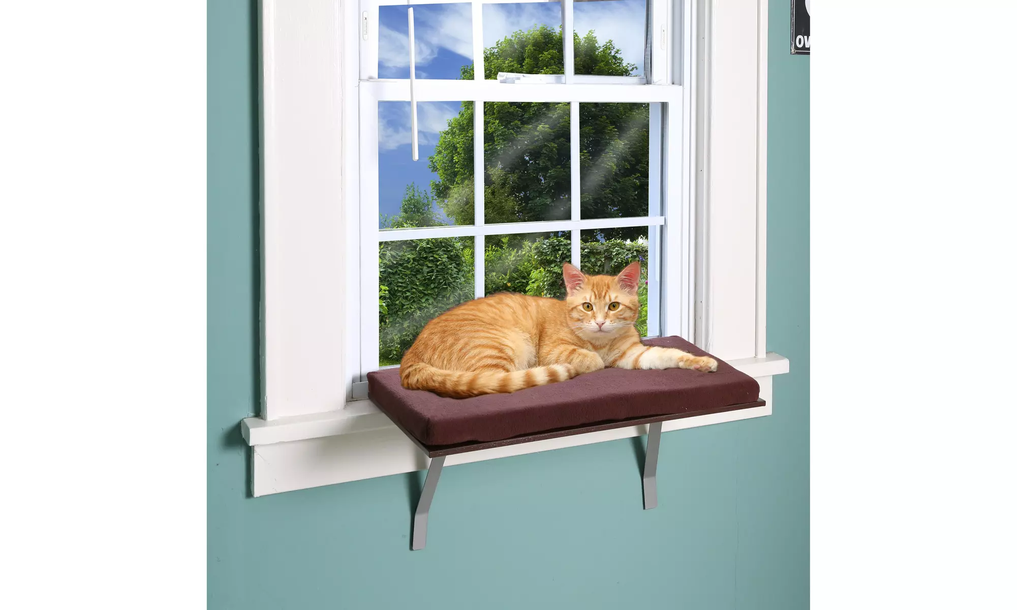Deluxe Cat Window Perch - Primary Image