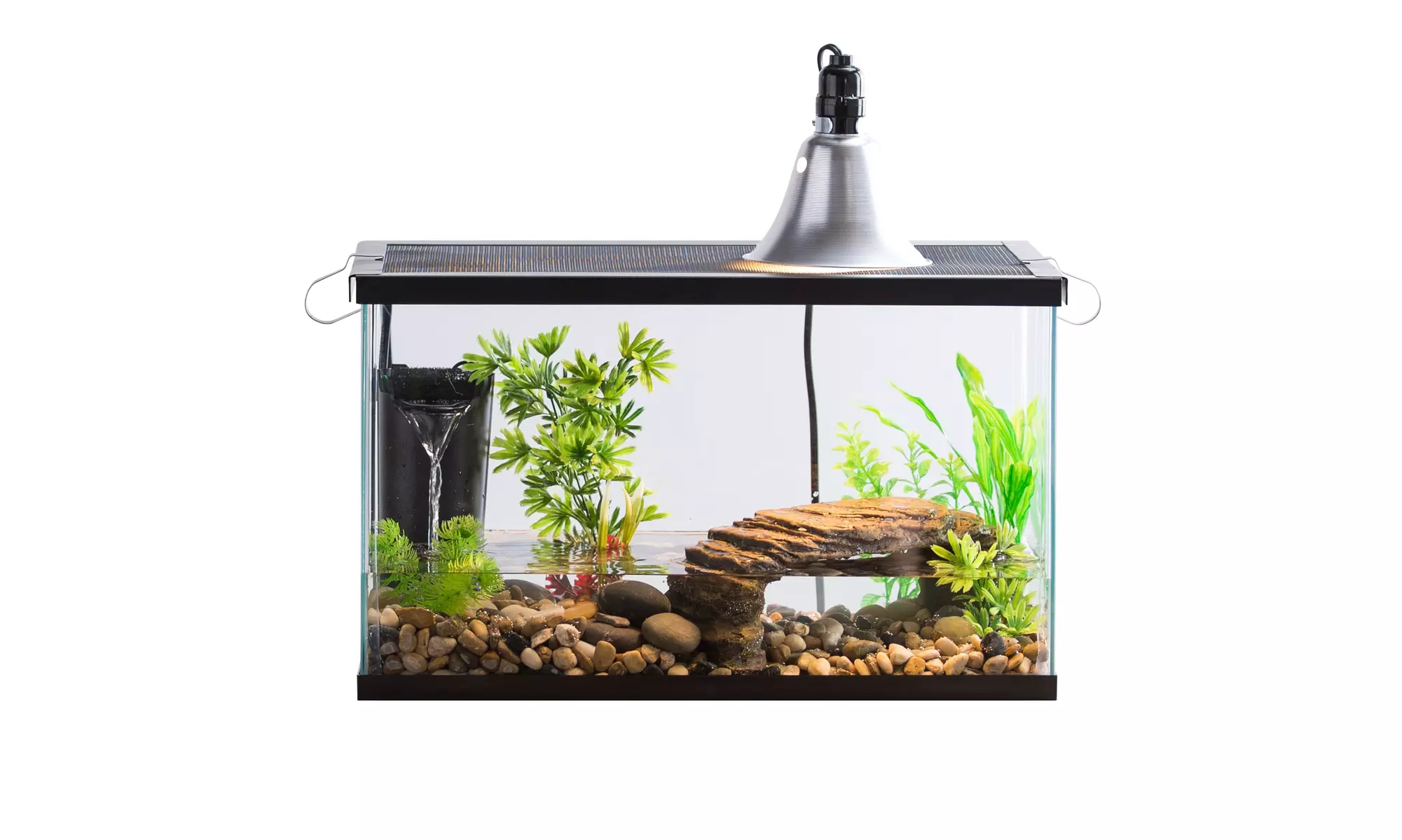 Aqua Culture 10-Gallon Turtle & Aquatic Reptile Habitat Starter Kit - Second Medium