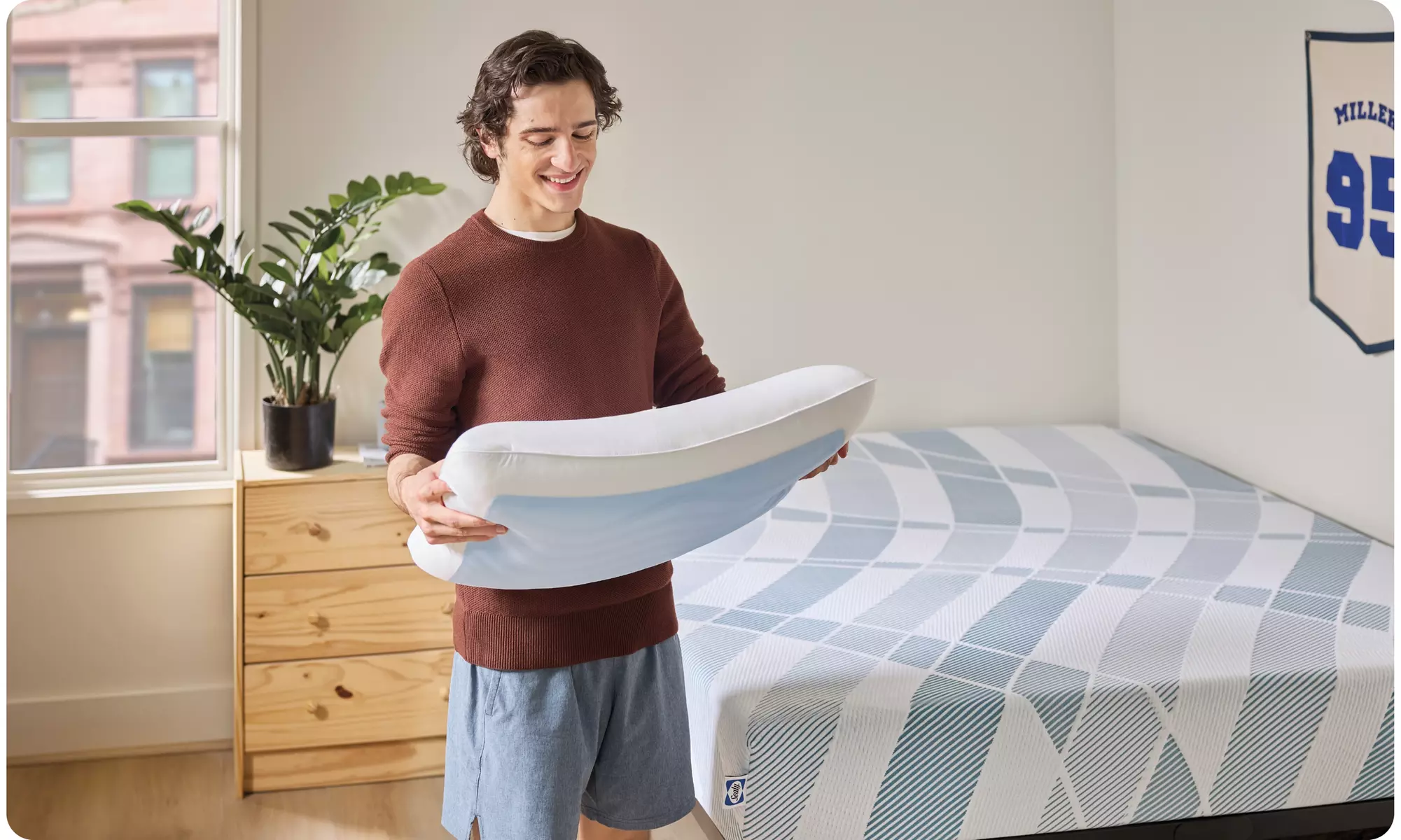 Sealy Dreamlife Memory & Shredded Foam Pillows (Single/Dual)