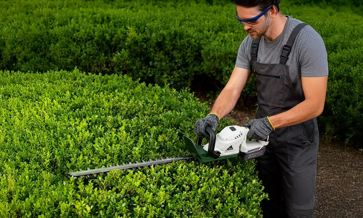 LakeForest Lawn Essentials 21V Cordless Tool Collection