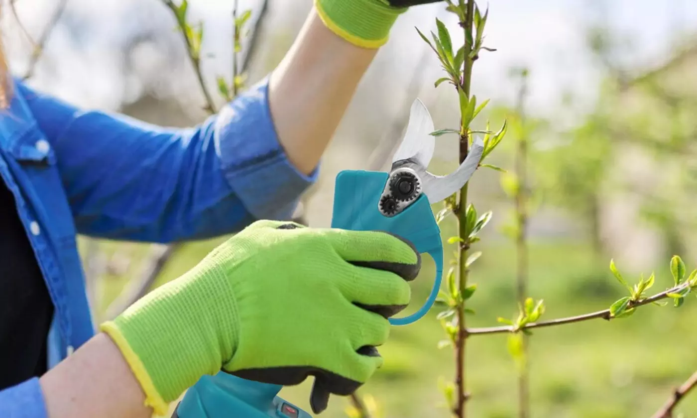 LakeForest Lawn Essentials 21V Cordless Tool Collection