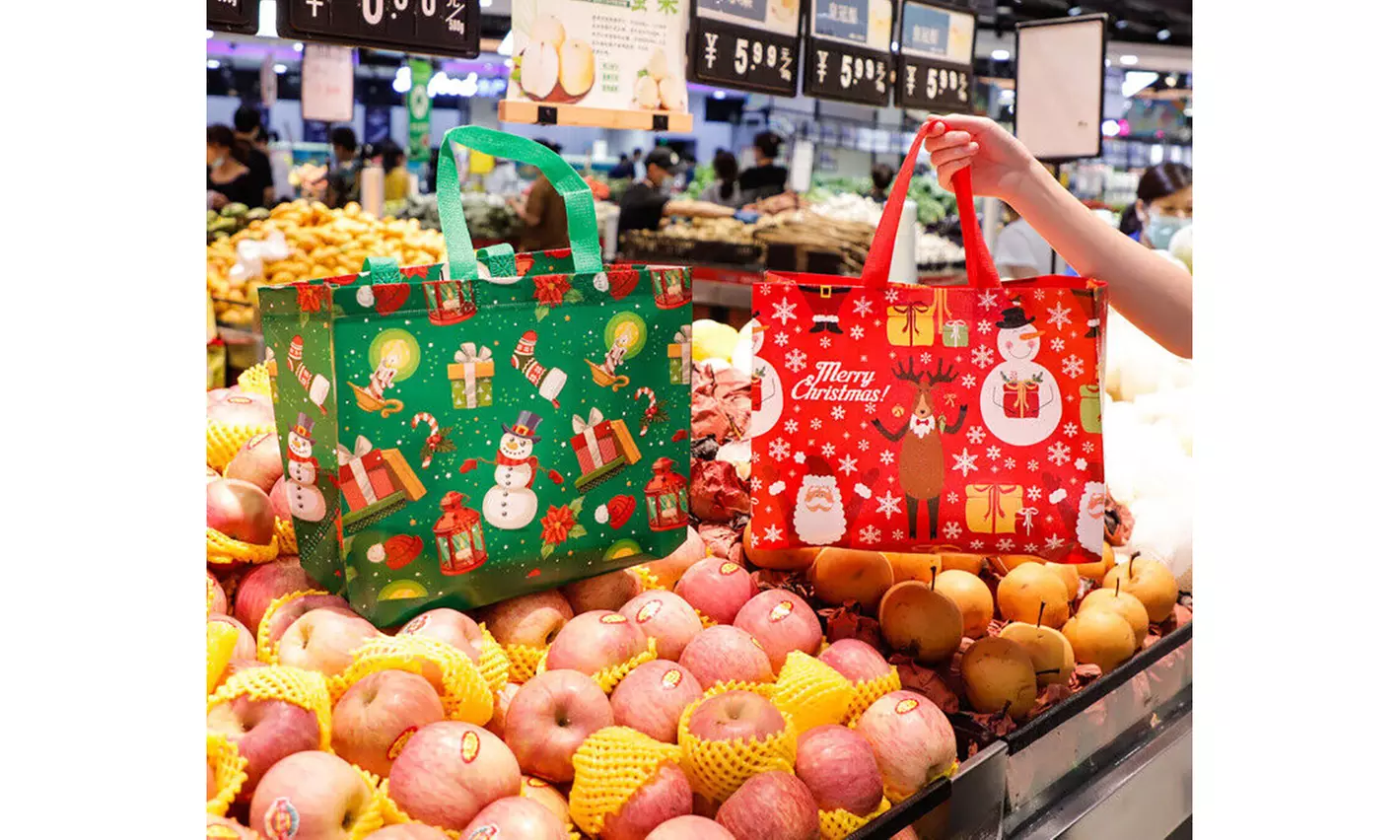 8-Pack Christmas Gift Bag Tote with Handle Treat Bags for Xmas Gifts