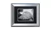 PIPA Fine Art 'Dew on Leaf of Rose Plant' Matted Silver Framed Art