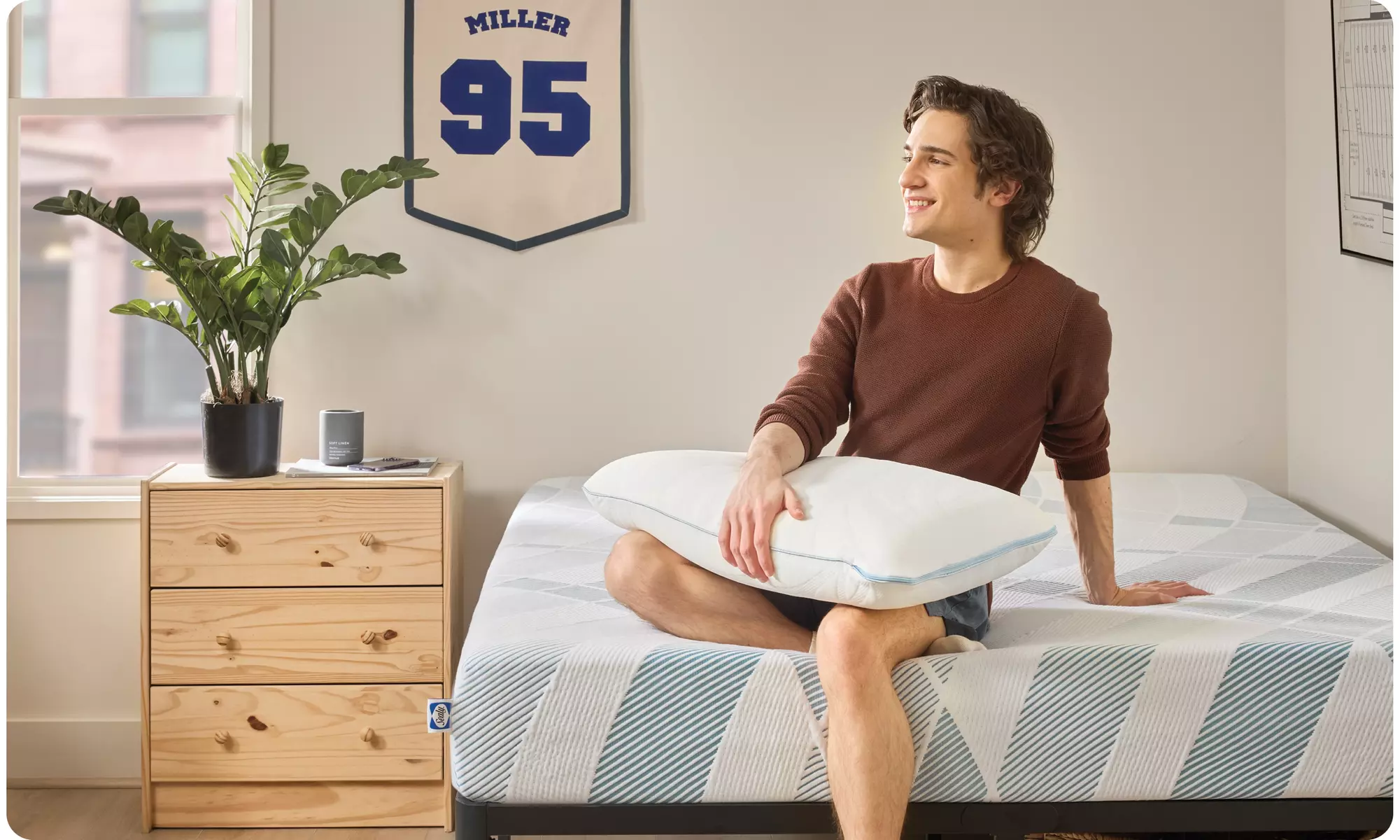 Sealy Dreamlife Memory & Shredded Foam Pillows (Single/Dual)