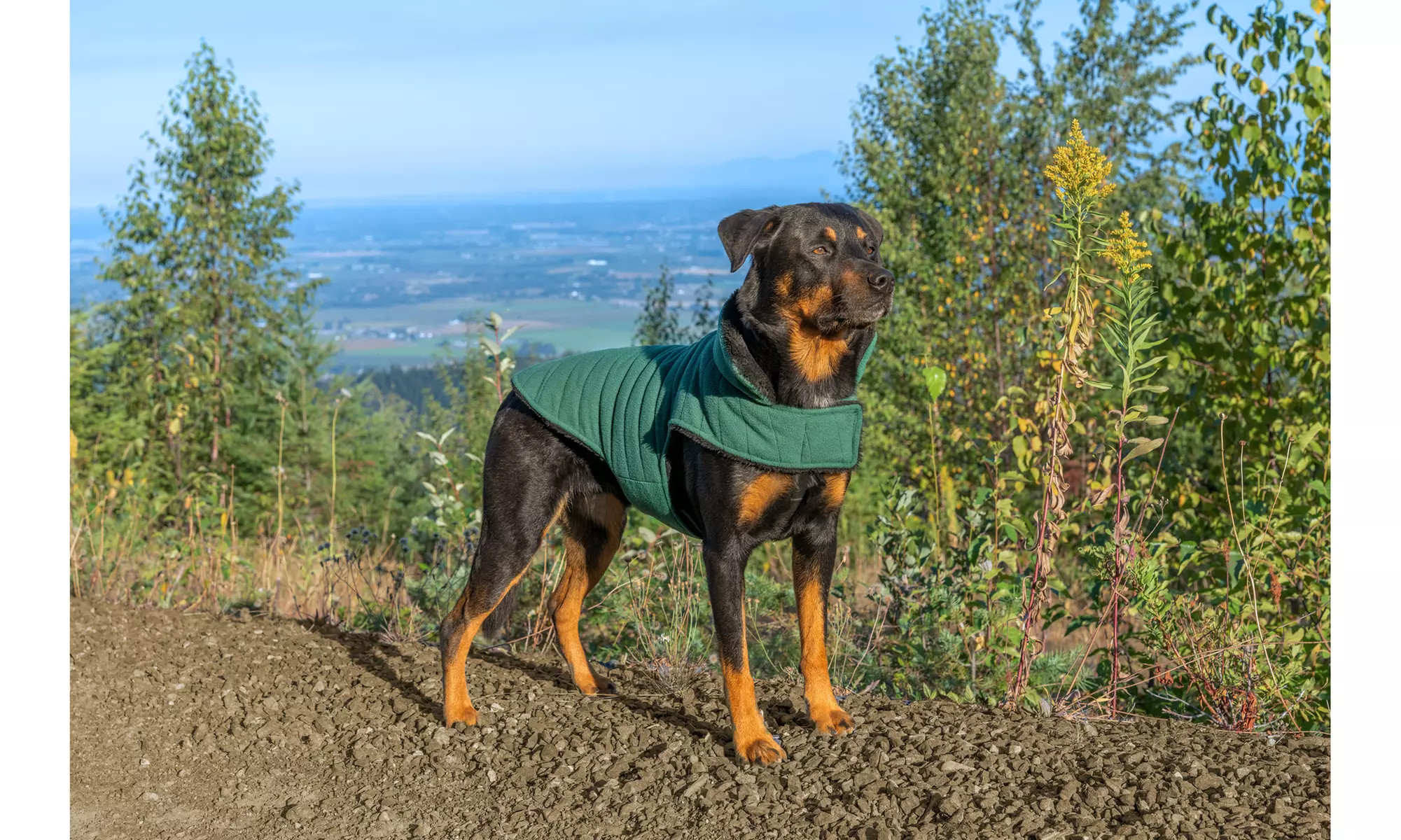 FurHaven Flex-Fit Faux Fur Warn and Cozy Reversible Dog Coat