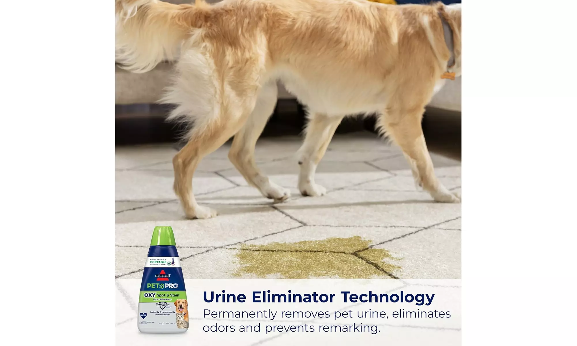 Bissell Pet Pro Oxy Spot & Stain Formula for Portable Vacuums - 1, 2 or 3pk