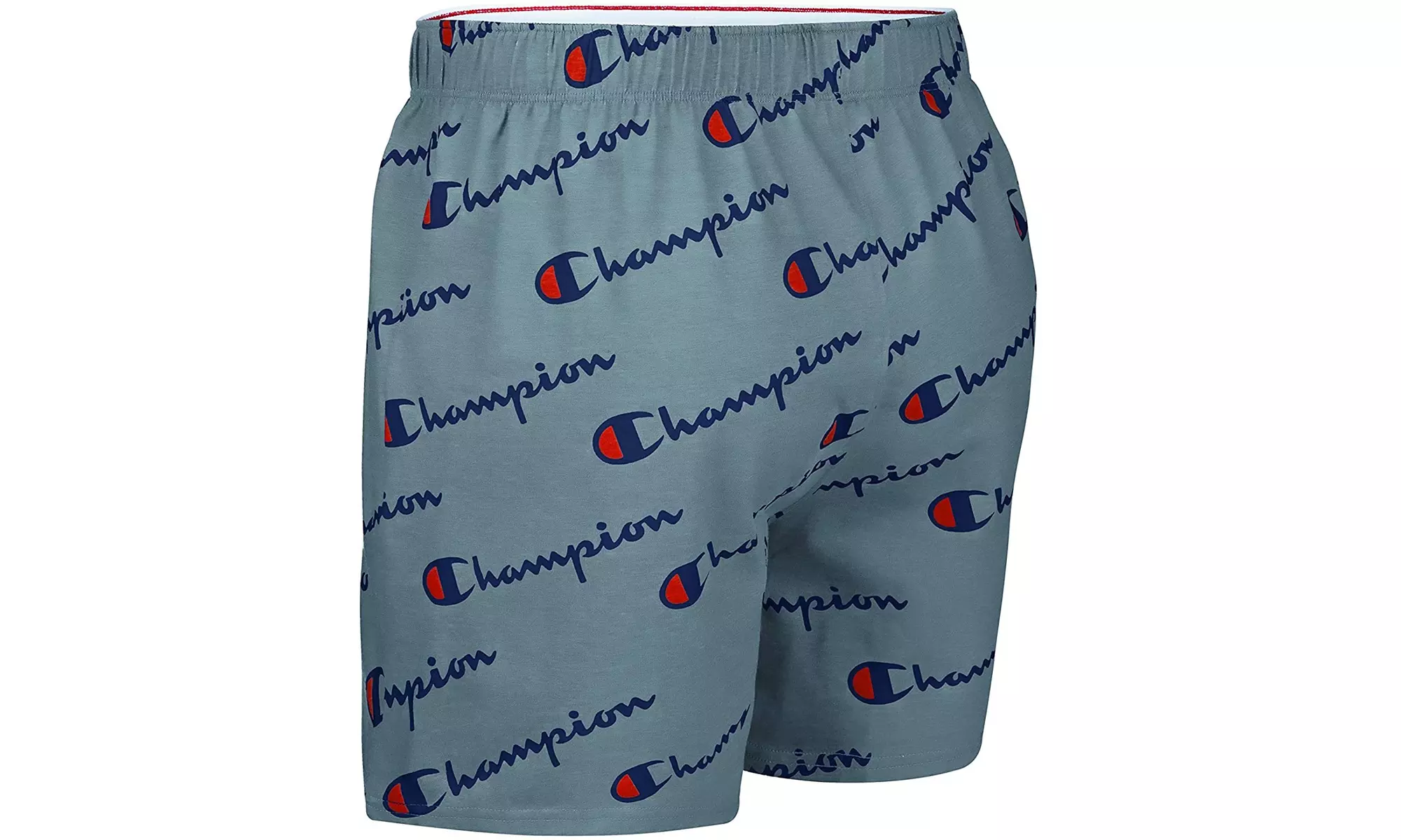 Champion Men's Boxer Short Knit or Woven Underwear