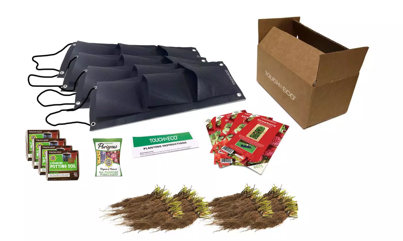 Organic Strawberry Vertical Grow Bag-6 Bare Roots (1, 2, or 4 Pack)  - Second Medium