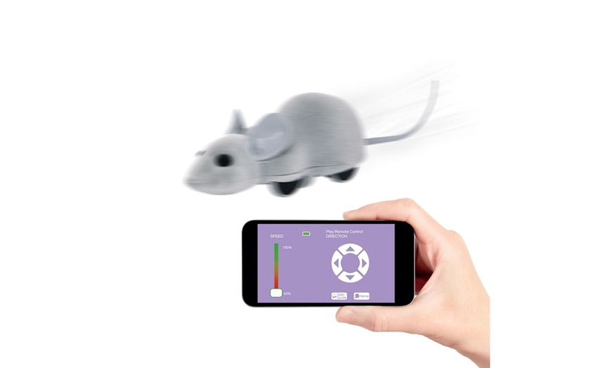 mouse hunt cat toy app