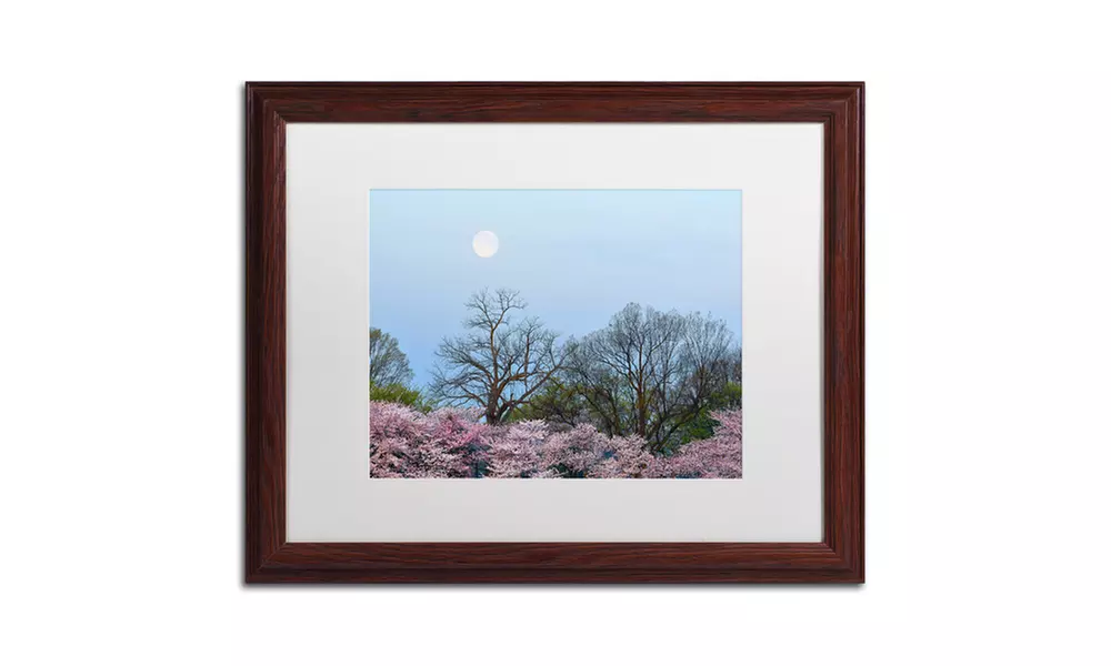 CATeyes 'Spring Moon 2' Matted Wood Framed Art - Second Medium