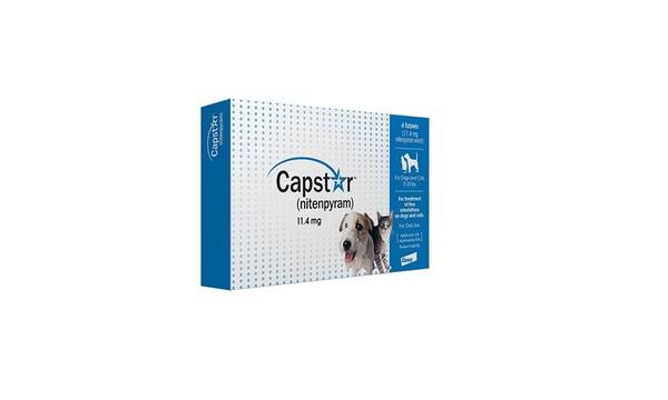 Capstar on sale single dose