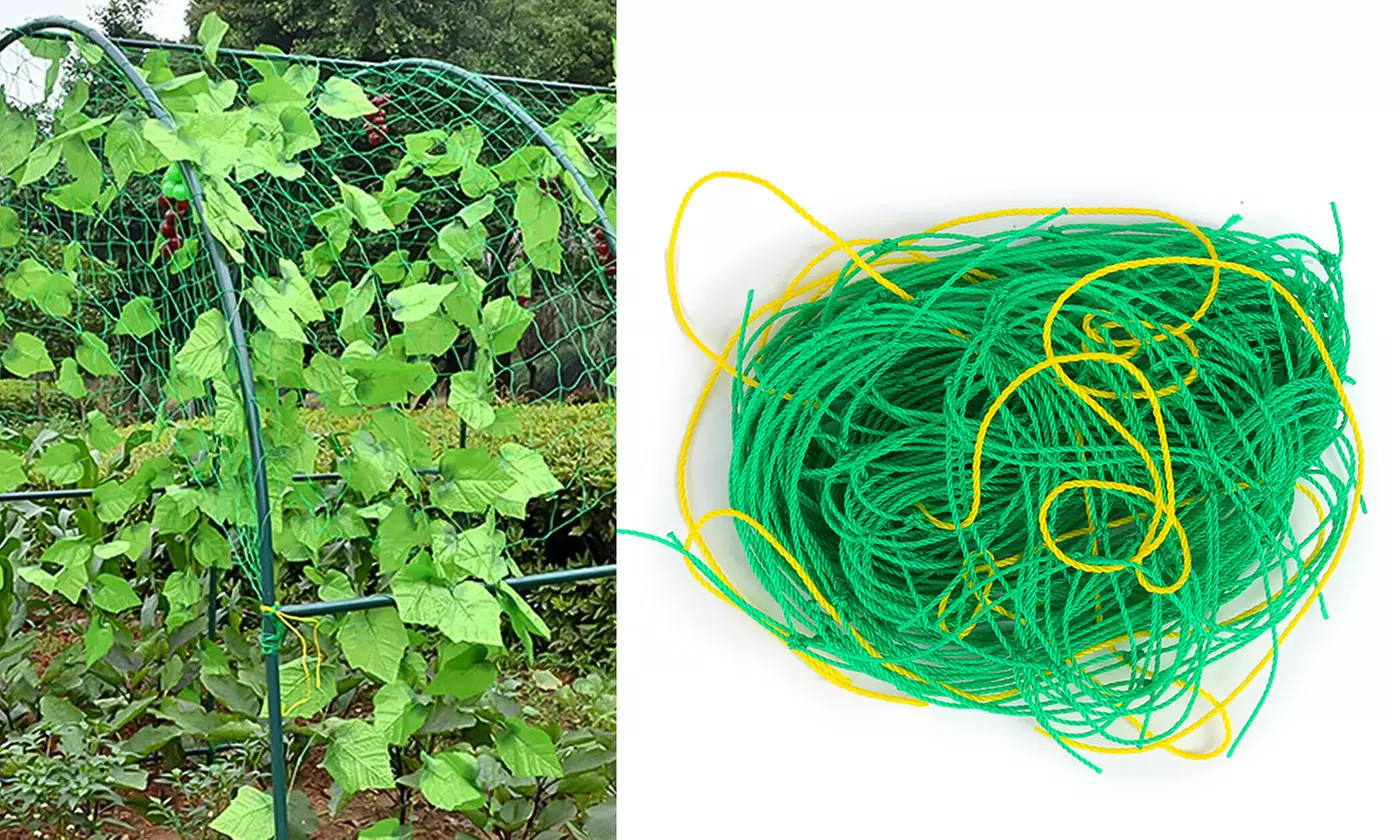 Heavy-Duty Flexible Elastic Plant Support Vine Net Climbing Garden Trellis Net - Primary Image